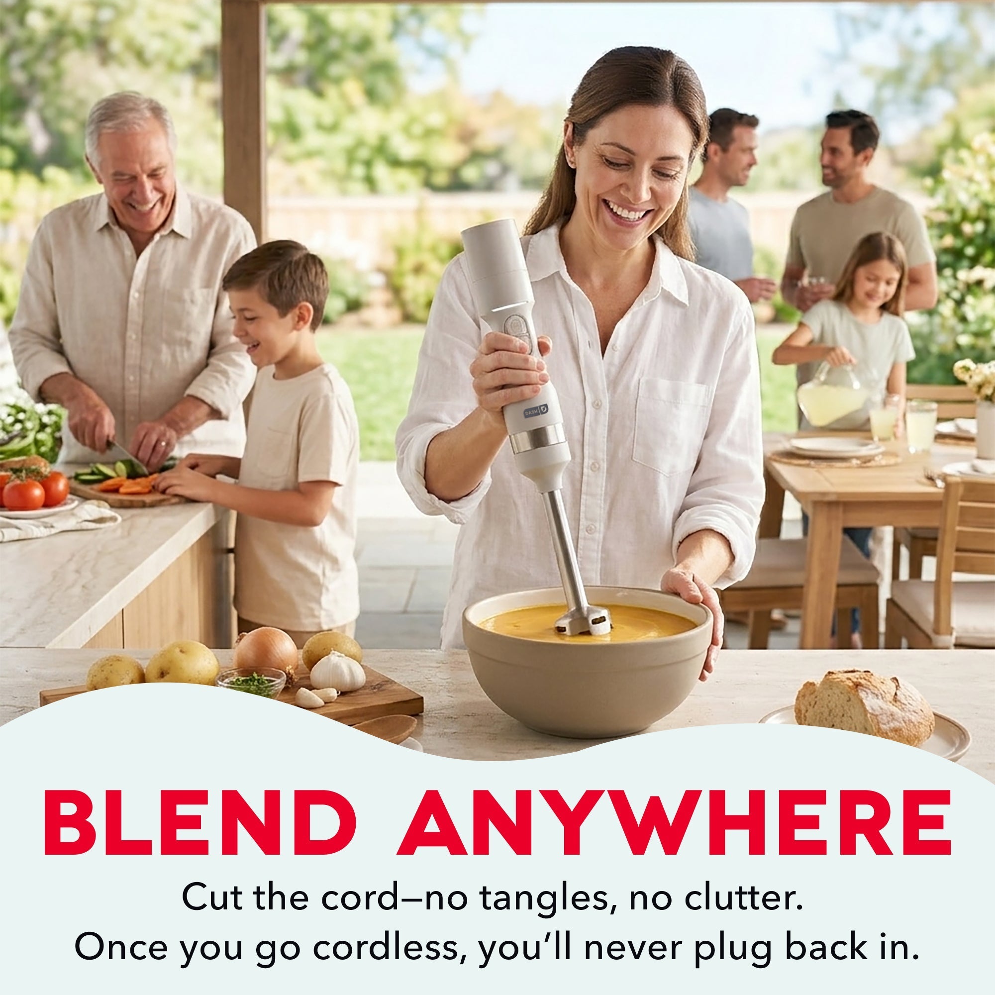 Cordless Immersion Blender